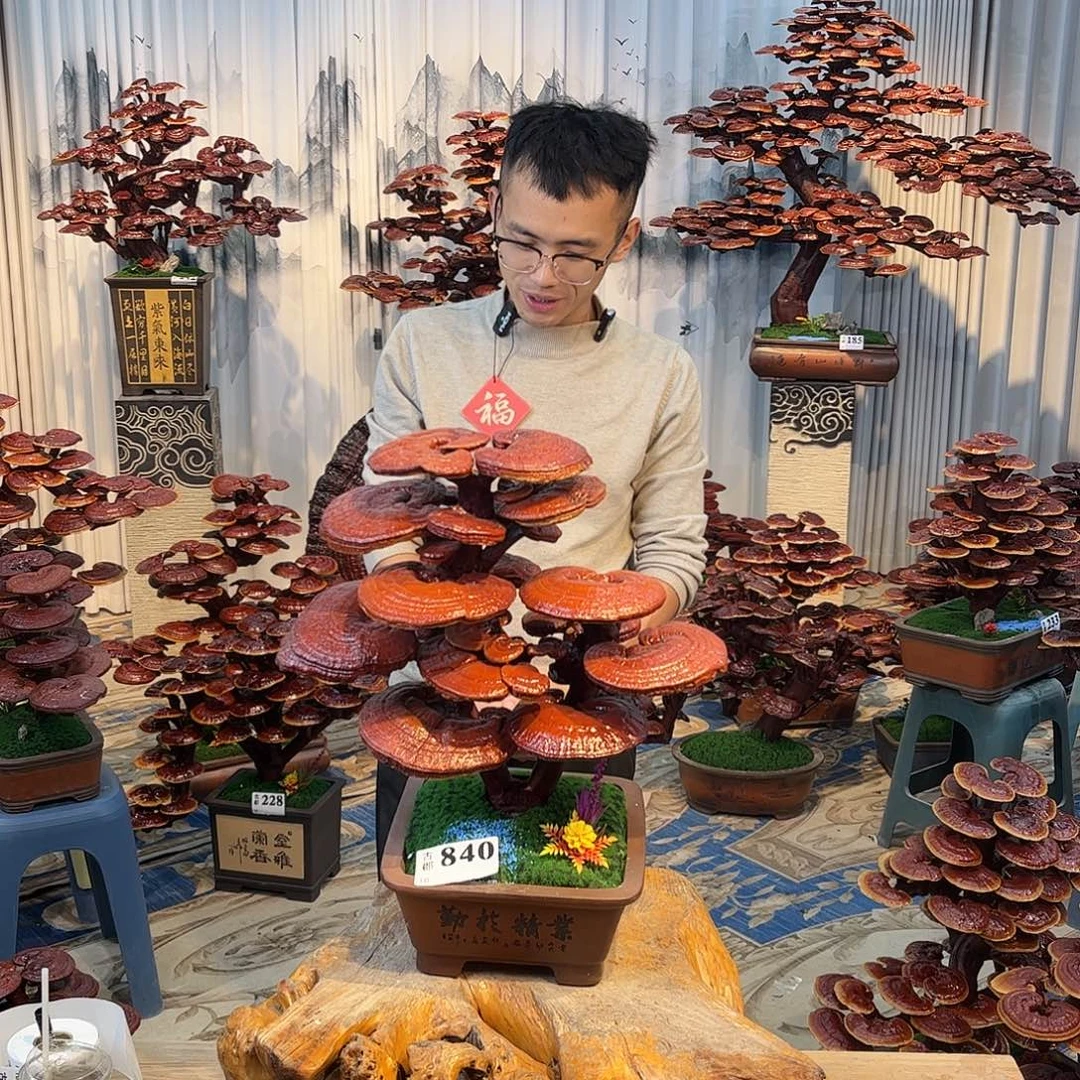 无花朵888888888888