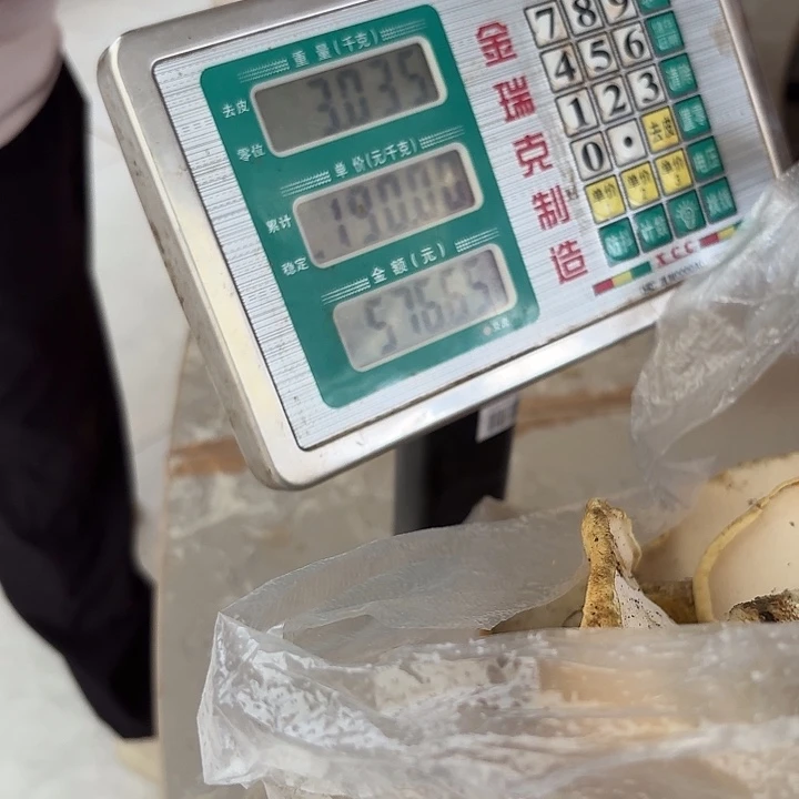 小***丽南华……………………………………中国大陆