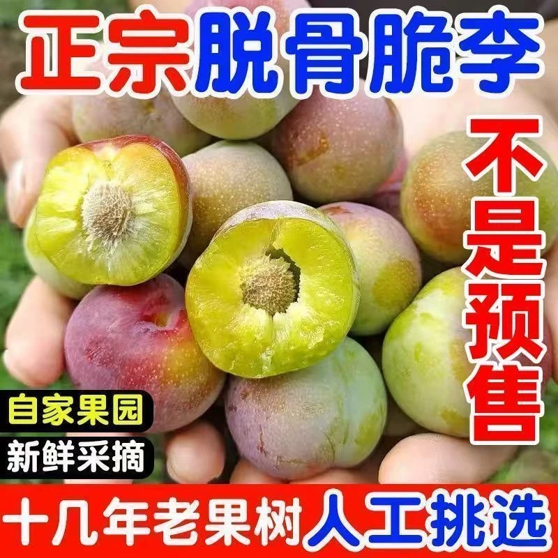四川高山新鲜应季半边红脱骨茵红李脆甜爽口