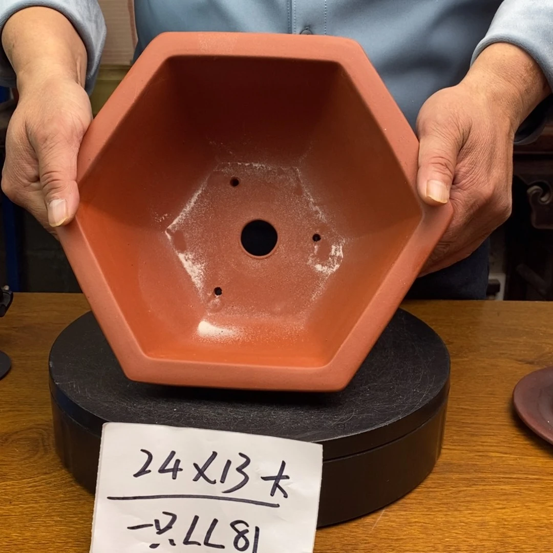 红陶货号一只LL81大