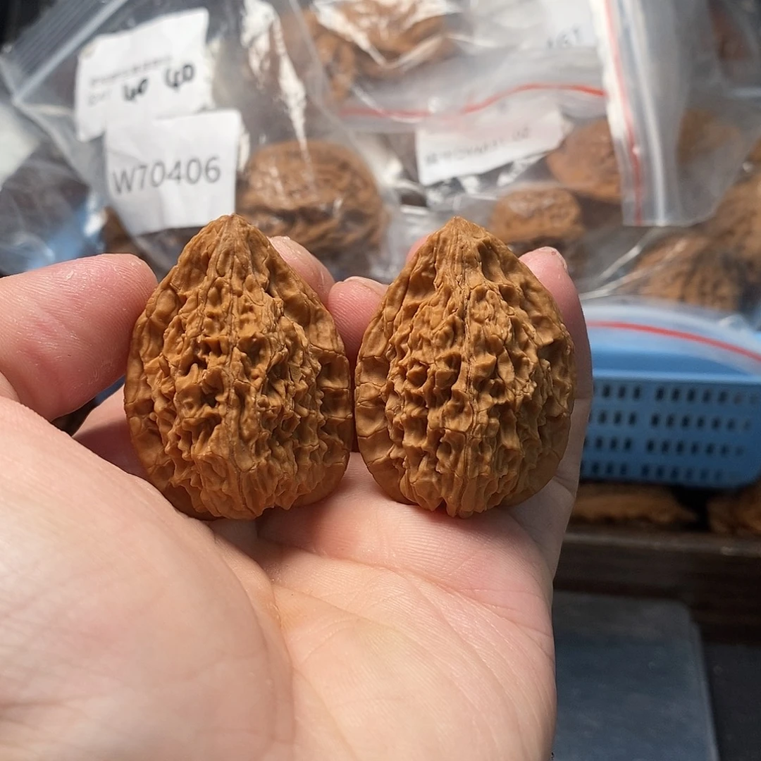 1文玩核桃鸭嘴兽32-252