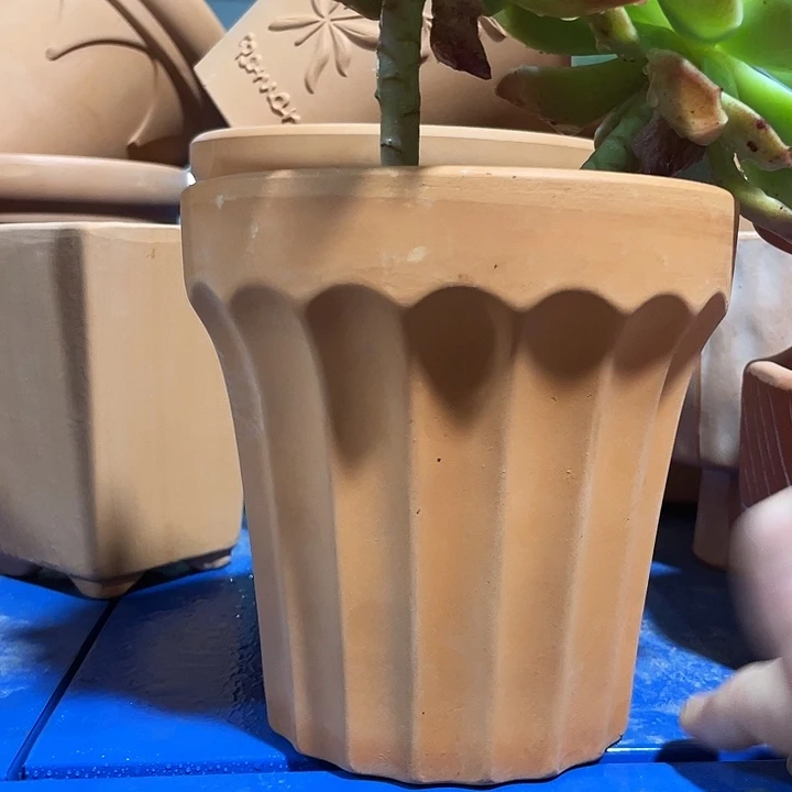 口13×13       发2