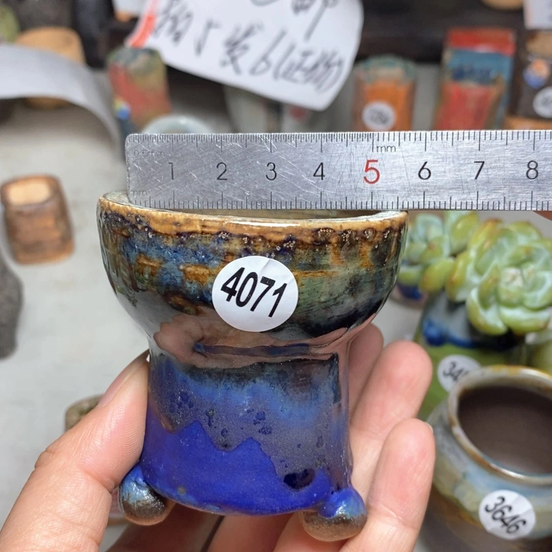 拍5送一个小礼物