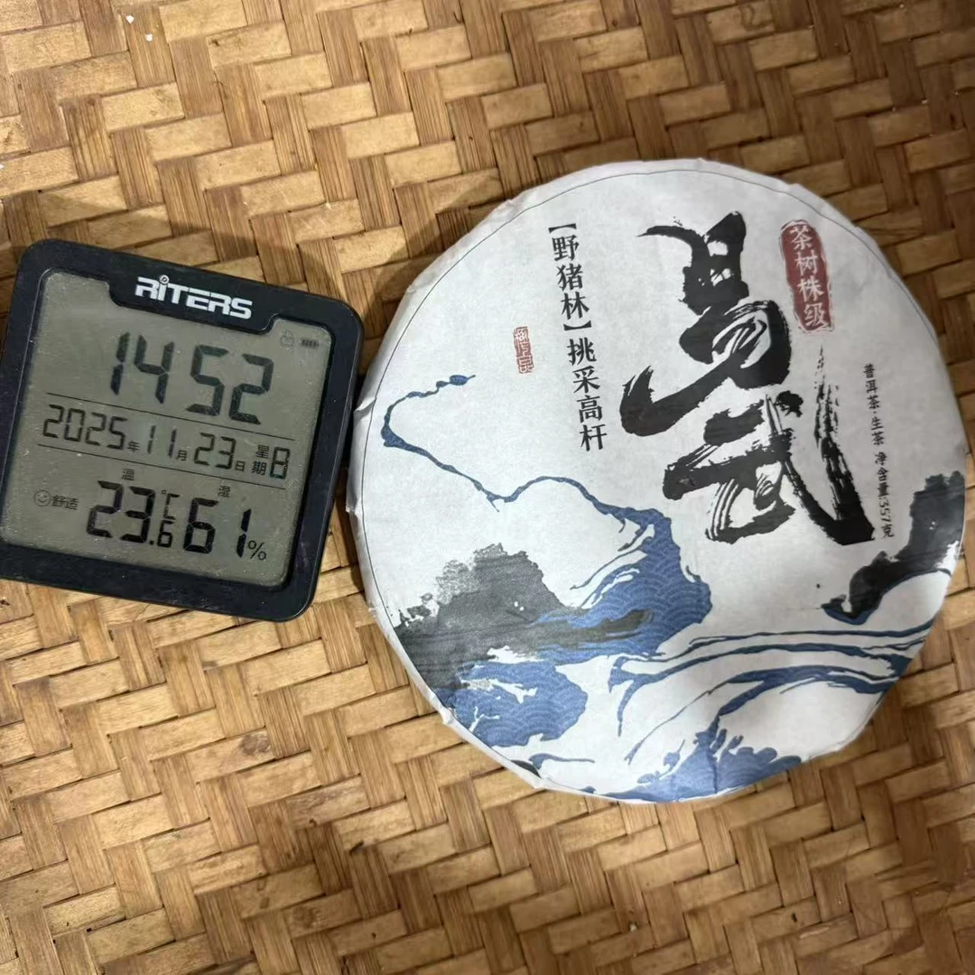 2022年易武野猪林高杆茶树株级挑普洱生茶饼357克CMF13号11月23日