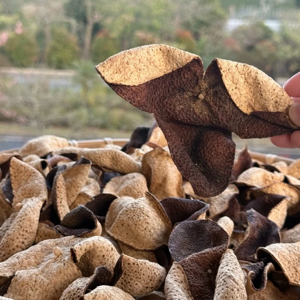 【天马冬后】2020年天马原枝冬后大红皮 正宗新会陈皮 甜香馥郁