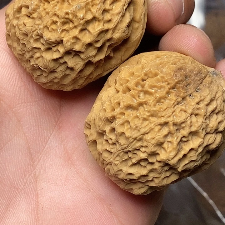 把件文玩核桃志成云铁文玩50