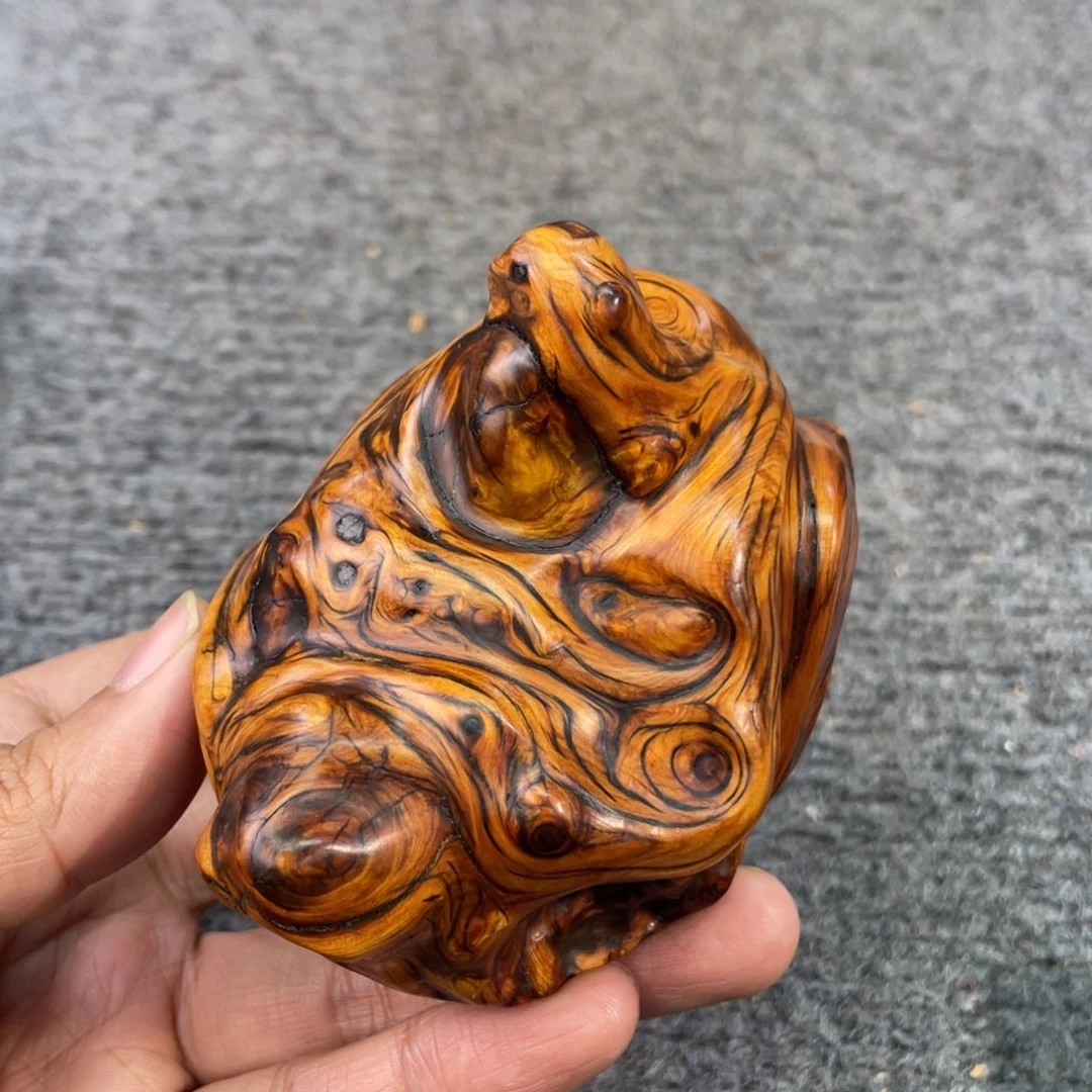 高***红柏木（崖柏）太行崖柏，888888888888