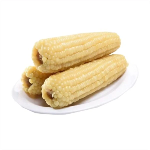 自营自制煮玉米1个(白玉米) 熟玉米煮棒子