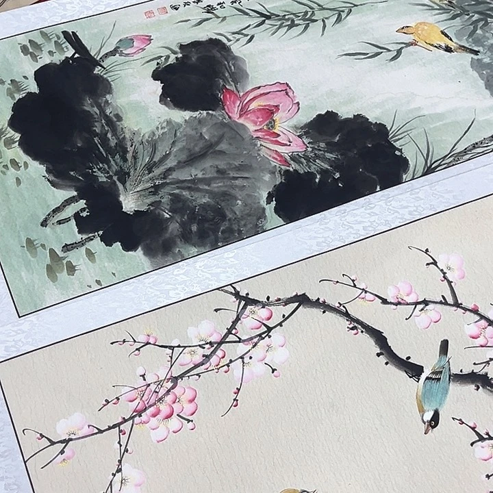 横款开播时间播出地点