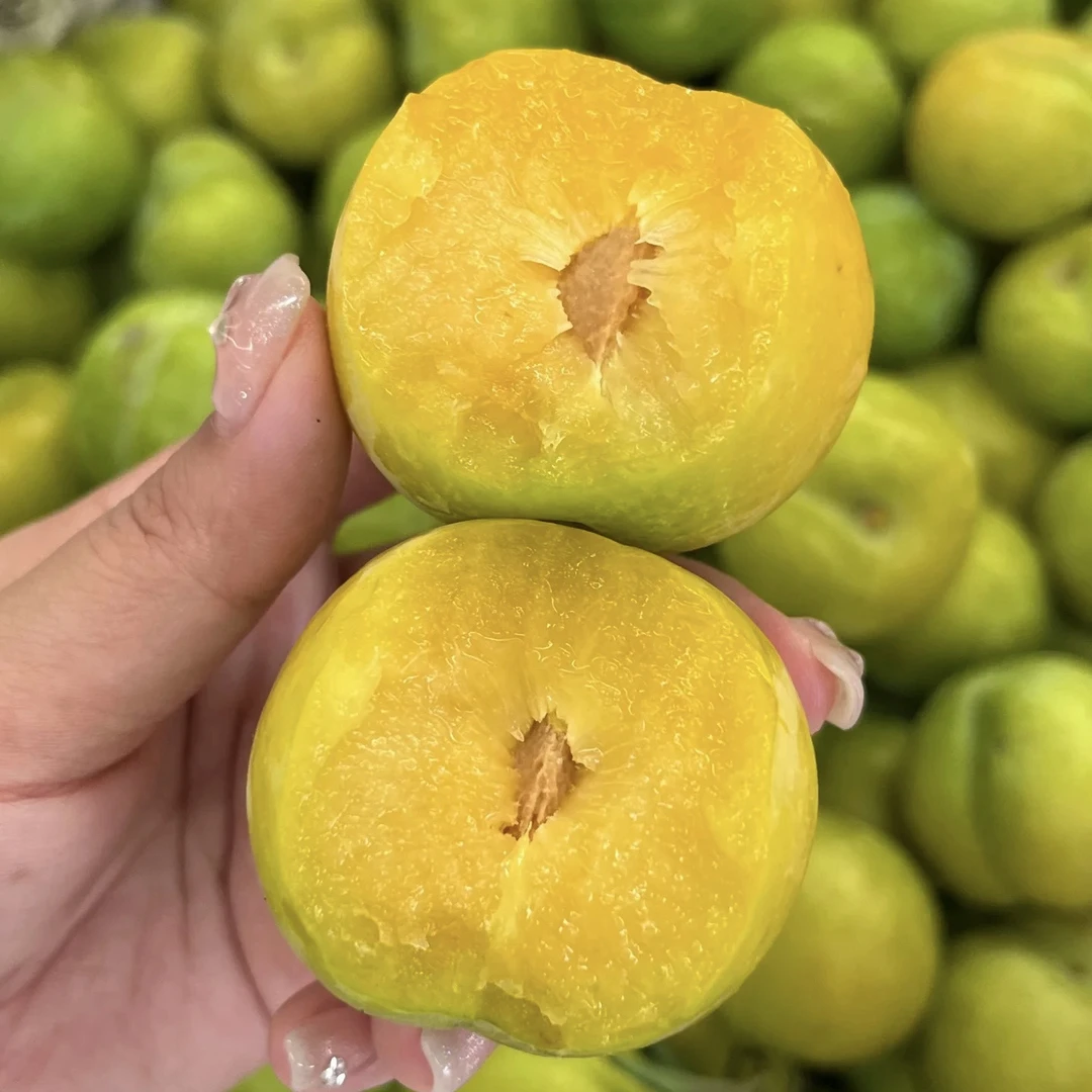 正宗贵州【青脆李子】青脆脆甜爽口李子同城送