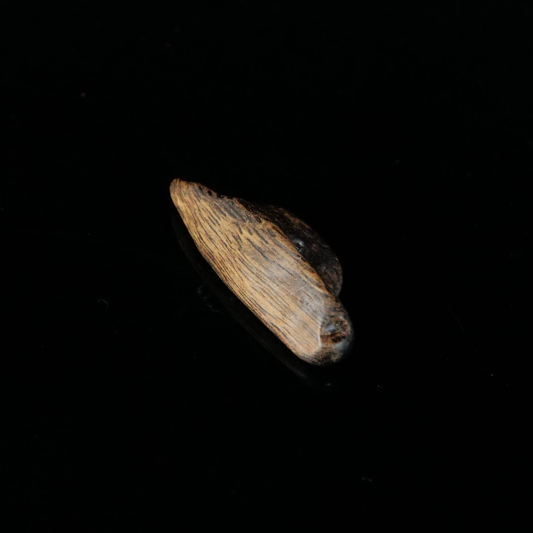 B6028 金三角黑棋瘤疤沉水老料沉香镶嵌 4.3x1.5x1.1cm  2.85g