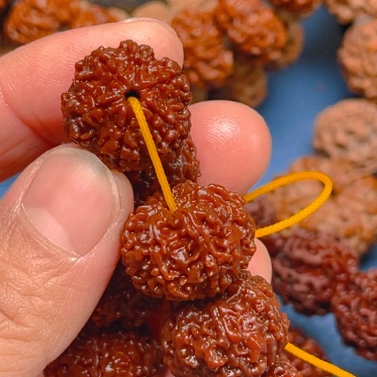 金刚菩提手串Y052/19/6