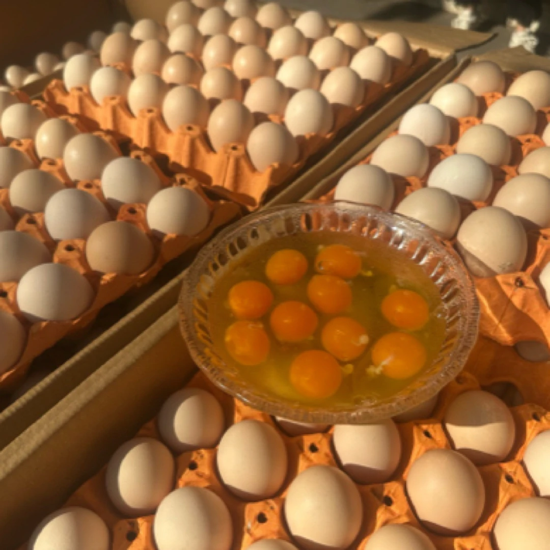 西双版纳土鸡蛋30枚