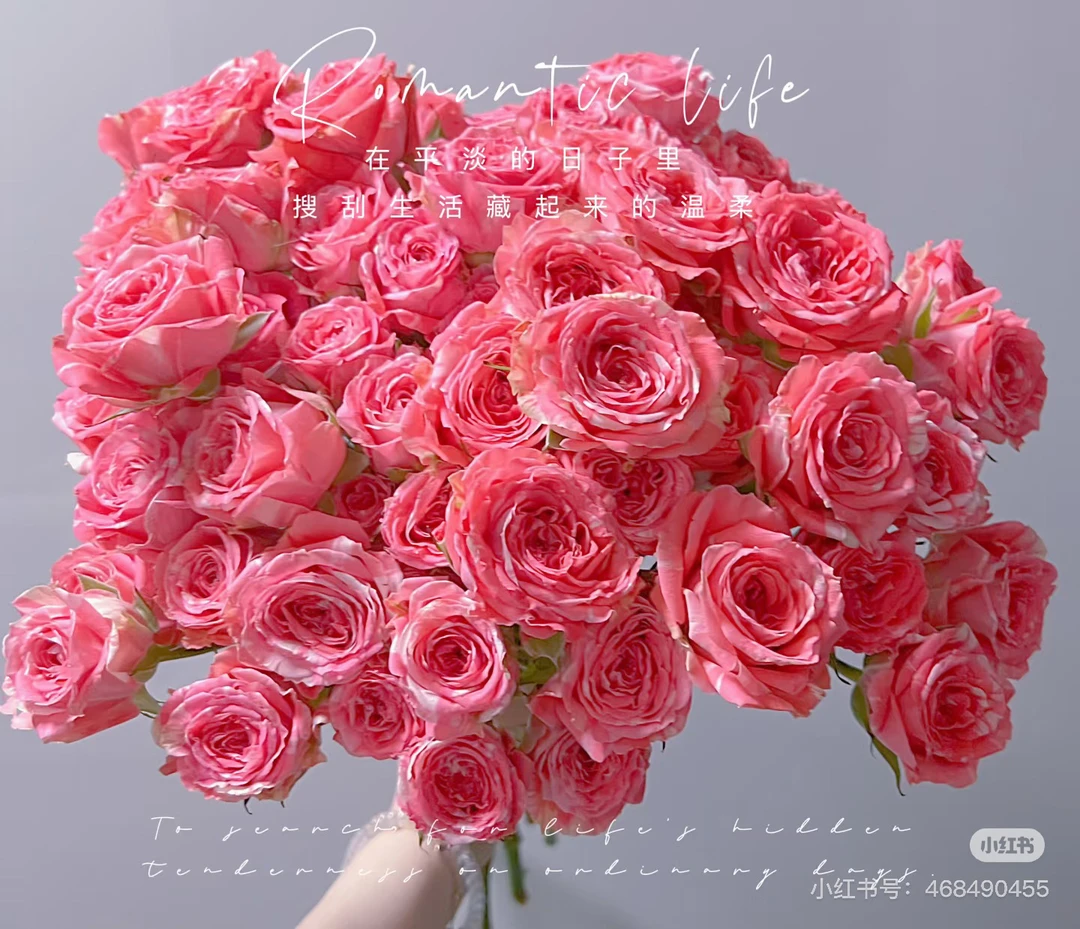 （云昊）多头浪漫伊田园10支！三件顺丰空运20%不售后