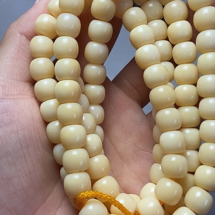 大果紫檀（缅甸花梨）