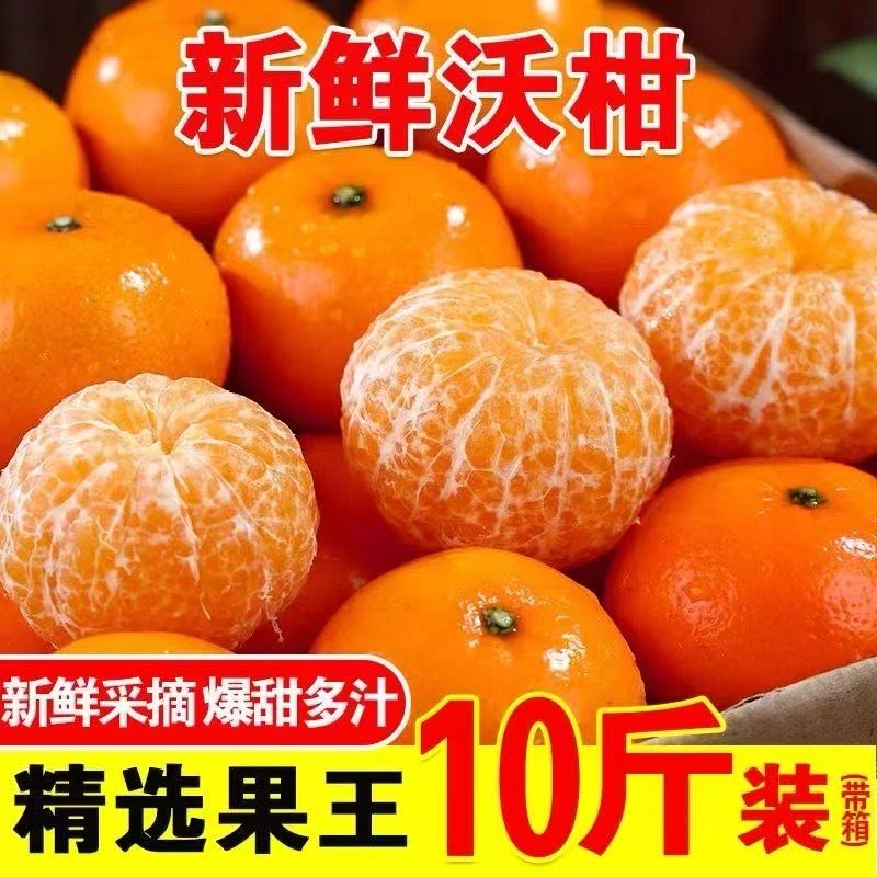 新鲜采摘正宗产地直发新鲜现摘沃柑应季水果多汁口感丰富