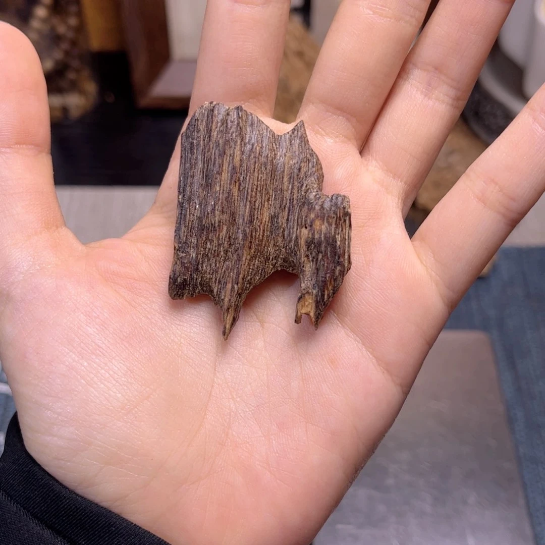 香榧木尖峰岭虫漏2克福利