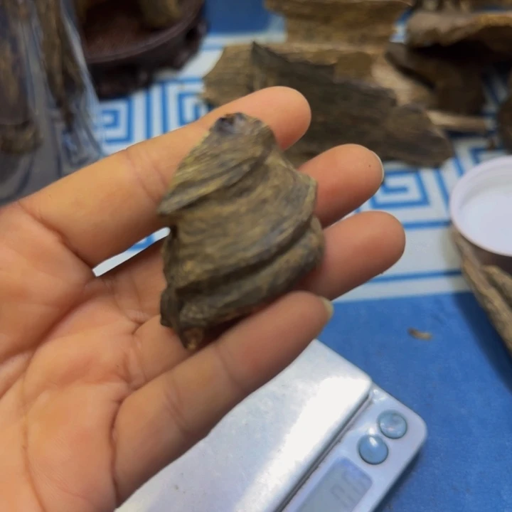 木沉水海南虎斑奇7克