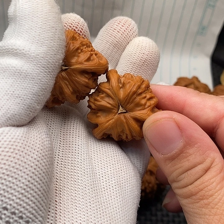 手串/手链核桃拼接白狮子6