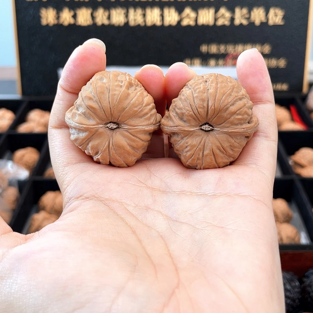 把件文玩核桃37毕业级稀有小尺正圆凹底➕近正肩s3703