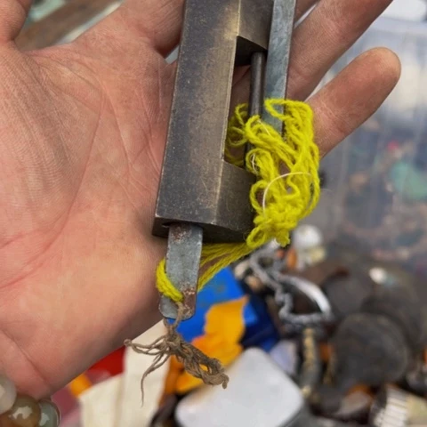 核桃木/黑胡桃（胡桃木）莲****店