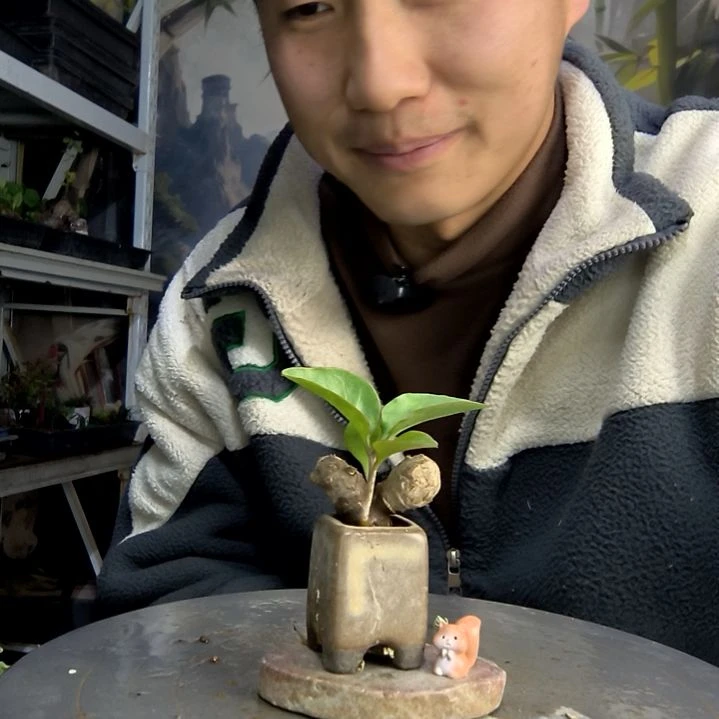 多*中青园艺一物一拍490