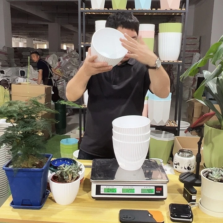 竖纹口17高15白色4个无托