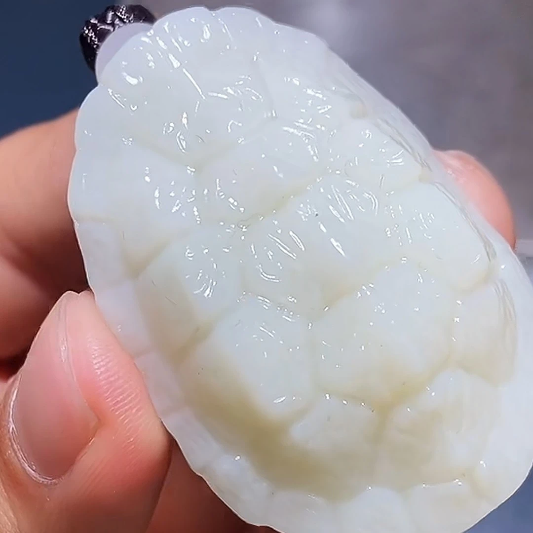 龟9.15HX多样性拍一发一