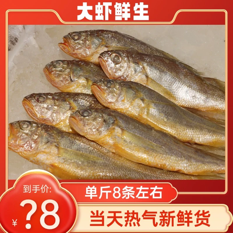 新鲜正宗野生小黄鱼