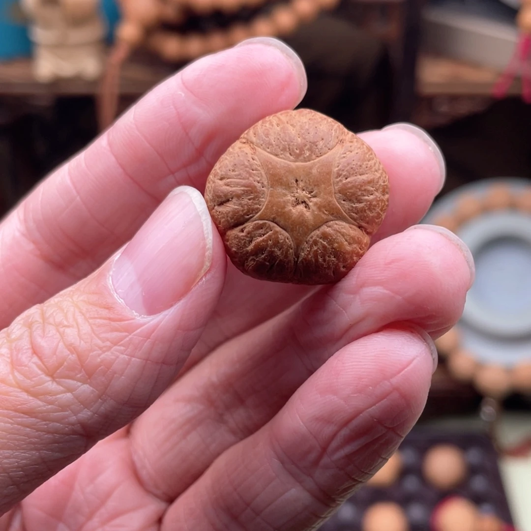 吊坠凤眼菩提g*五星