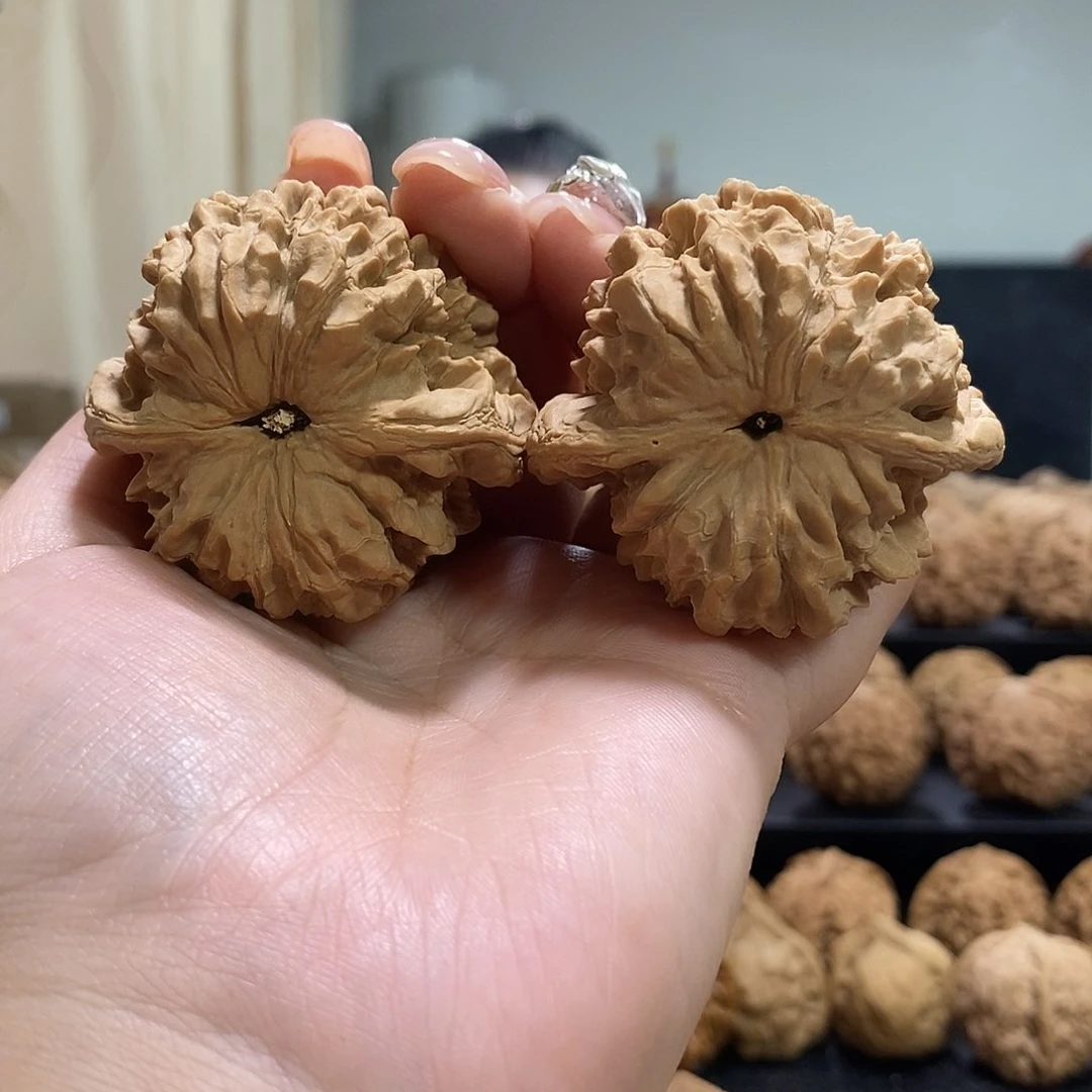 把件文玩核桃48龙鼎