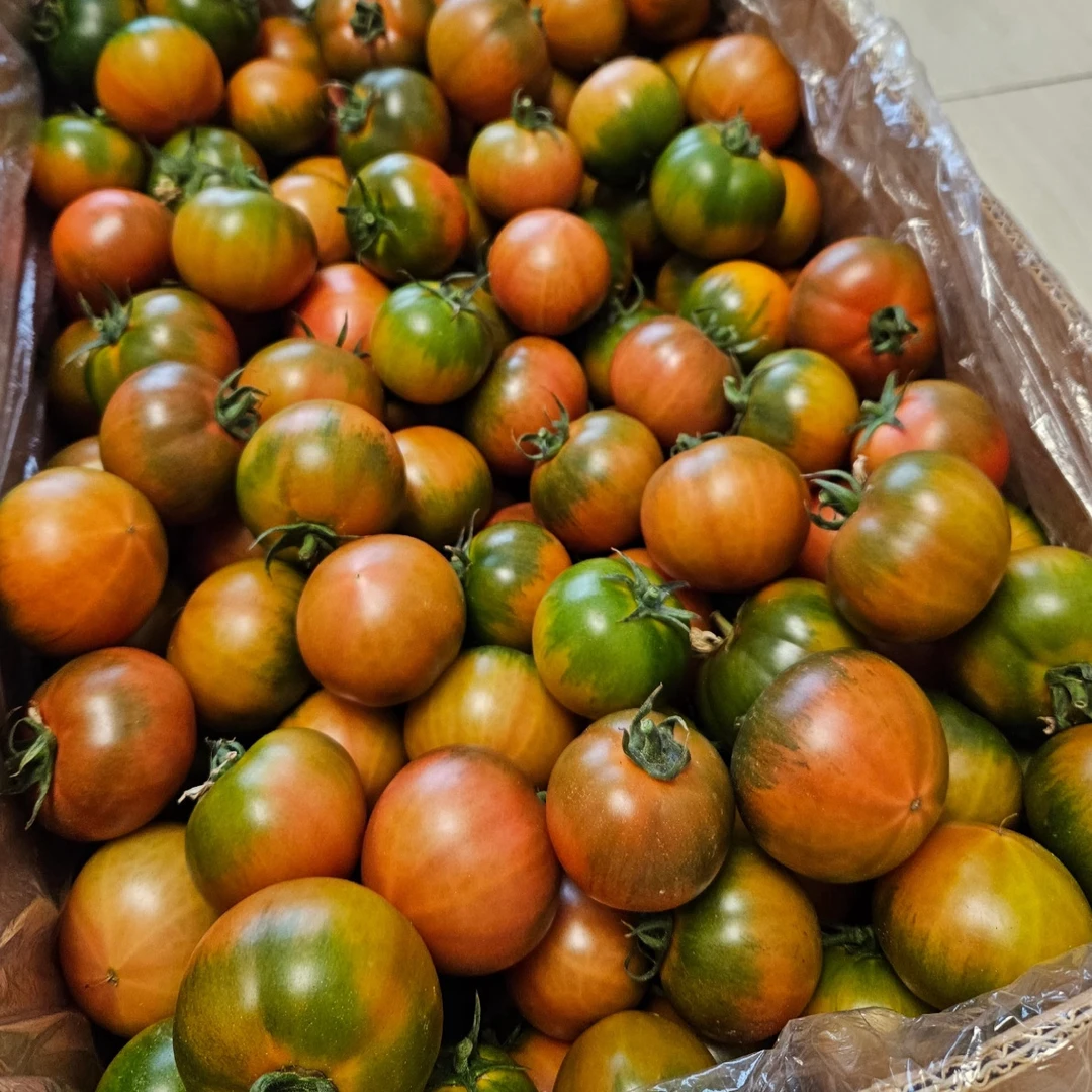 【迷你宝宝果】盐碱地现摘柿子铁皮西红柿顺丰包邮生吃应季