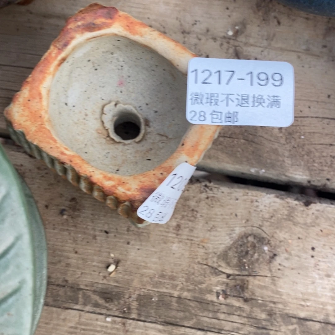 199号多肉盆口径4