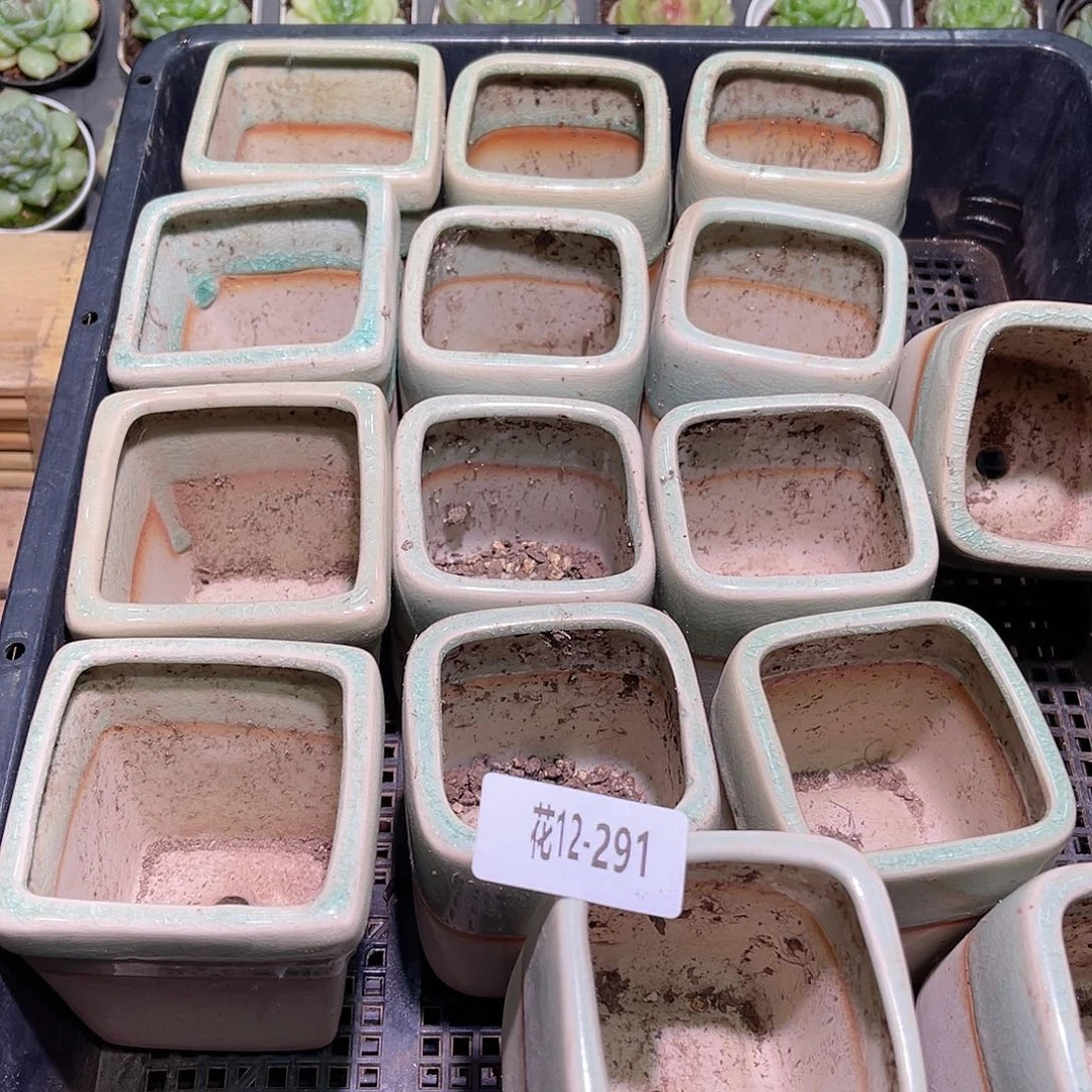 花12-291花盆15个