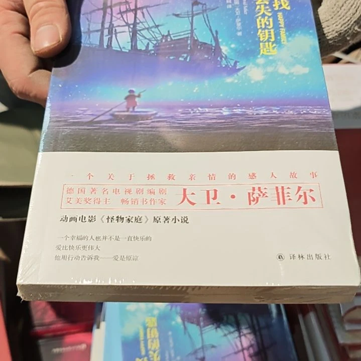 寻找丢失的钥匙平装库存书