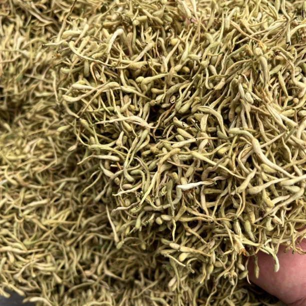 贵州农家野生金银花泡茶泡水