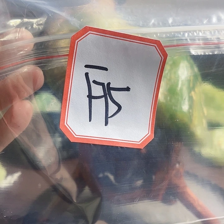 蛇纹石玉未镶嵌纯天然岫玉