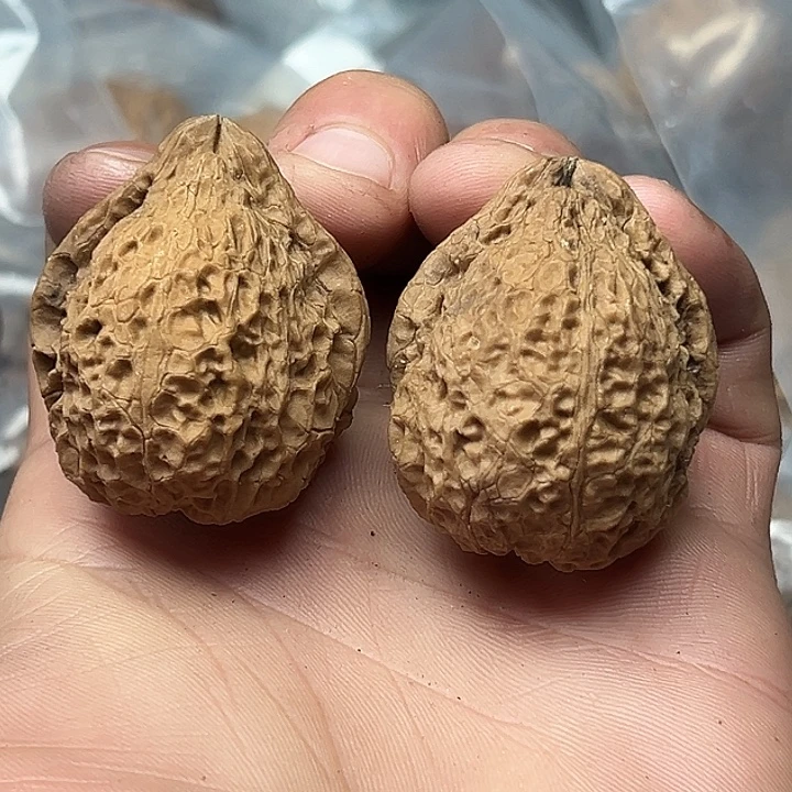 核桃49号金嘴寿桃39尺