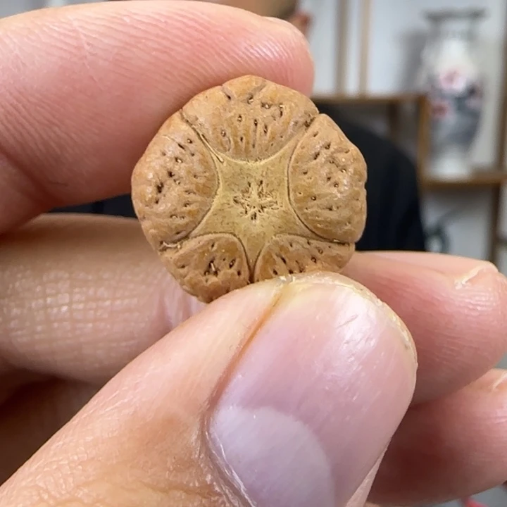 莲花菩提吊坠五星三通