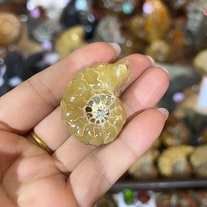 未***见石材家居装饰摆件螺