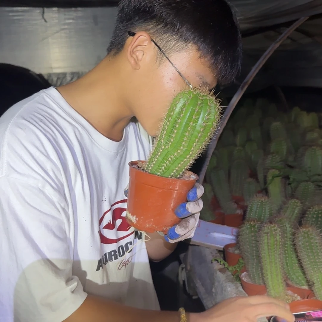 无花朵阿****花花花花花花花花花花家