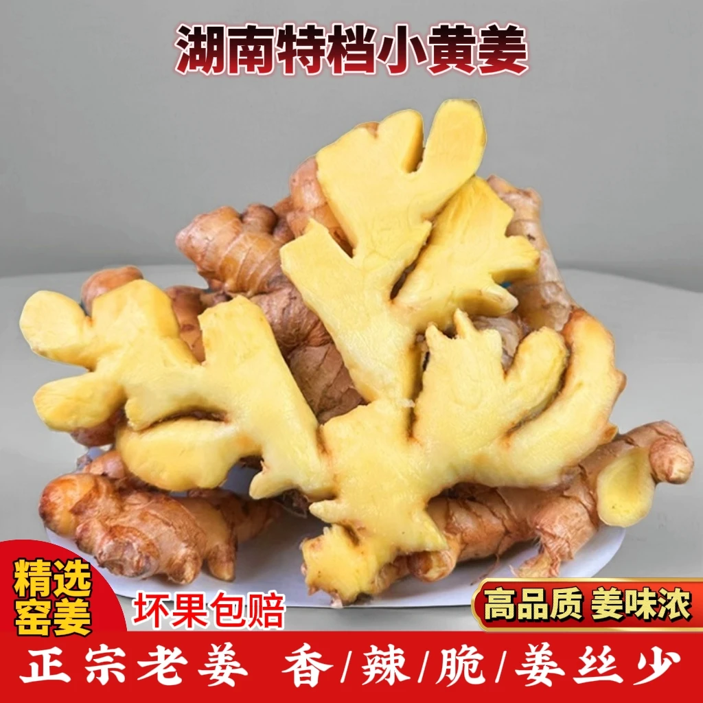 【特档级】湖南高山窑姜鲜嫩仔姜正宗小黄姜老姜鲜嫩生姜辛辣月子姜