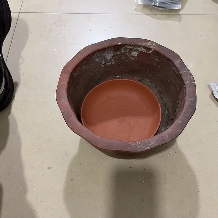 祝***康扇子吃刚果共和国把v宝贝宝贝宝贝哈