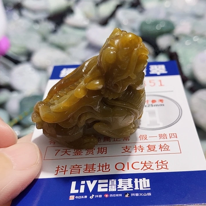 吊坠(不含链)未镶嵌翡翠九*