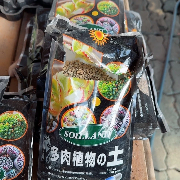 两包土多肉植物精品