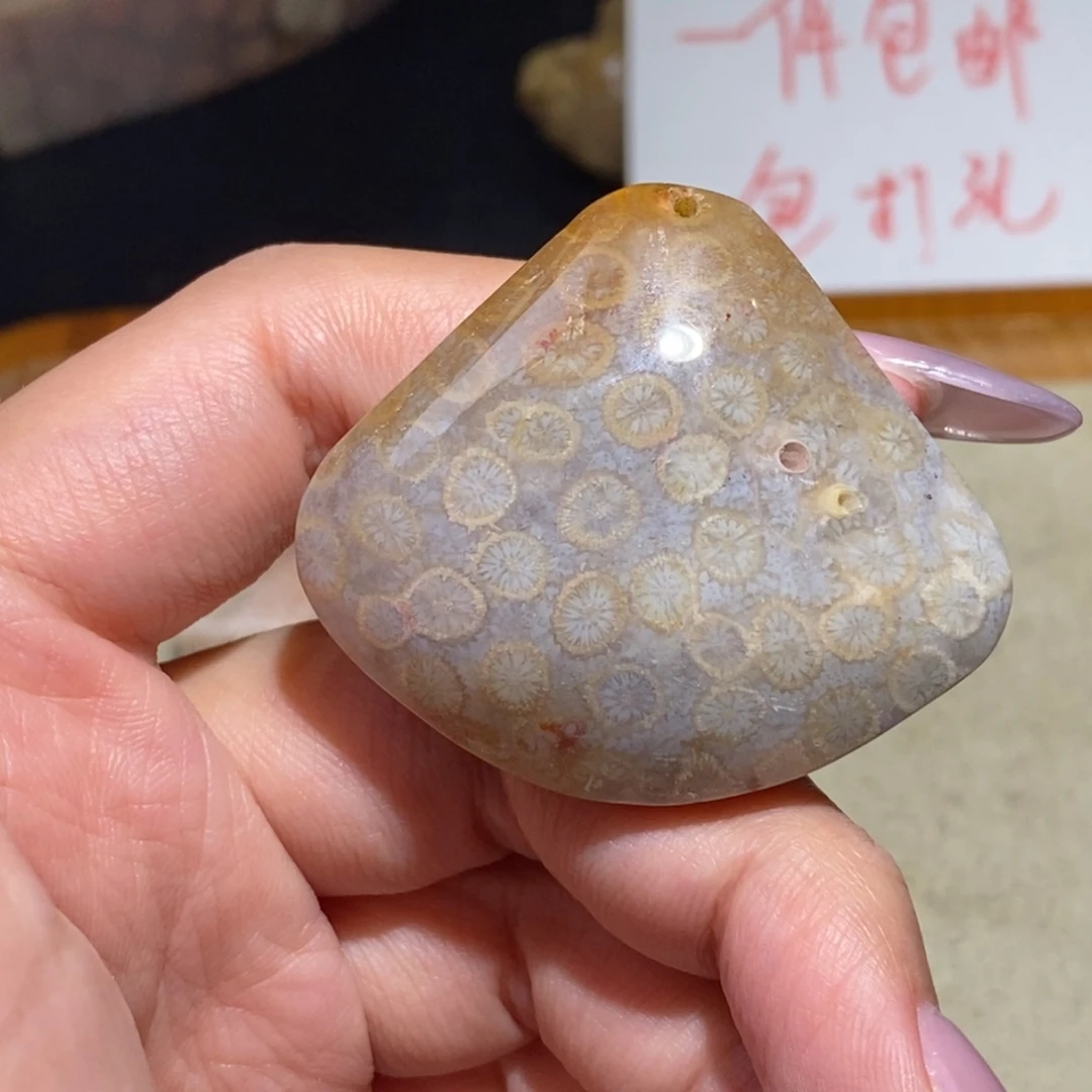 【闪购商品】硅化玉珊瑚玉未镶嵌