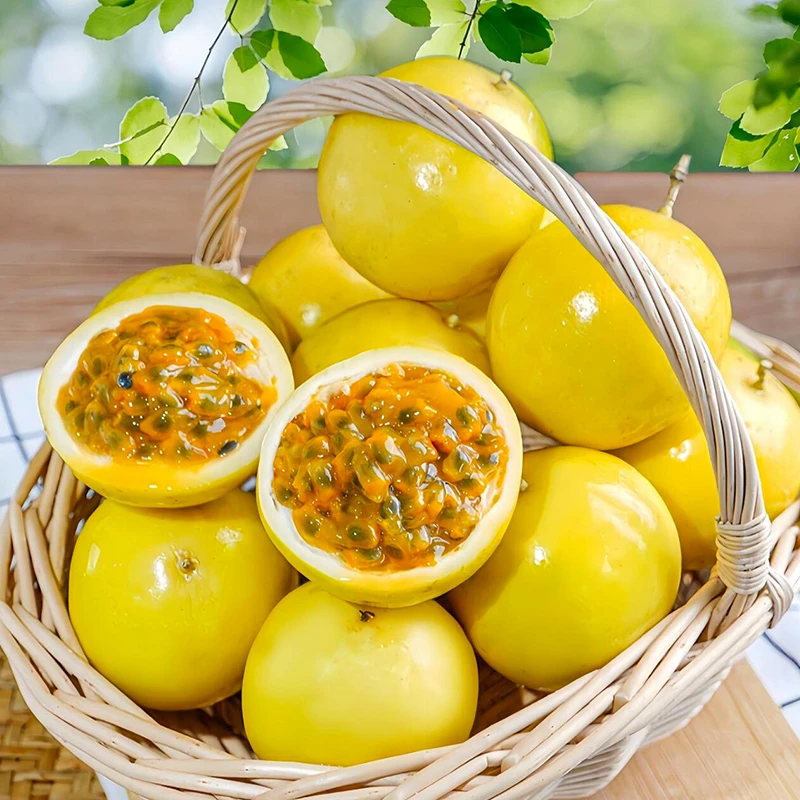 【黄金百香果】5斤装广西钦蜜9号百香果新鲜应季水果鲜甜饱满多汁