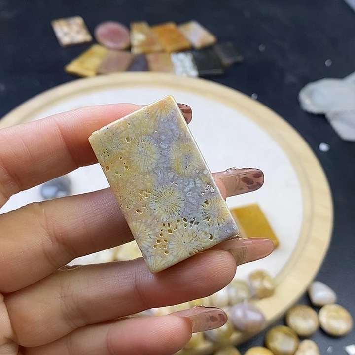 硅化珊瑚（珊瑚玉）未镶嵌颈饰8