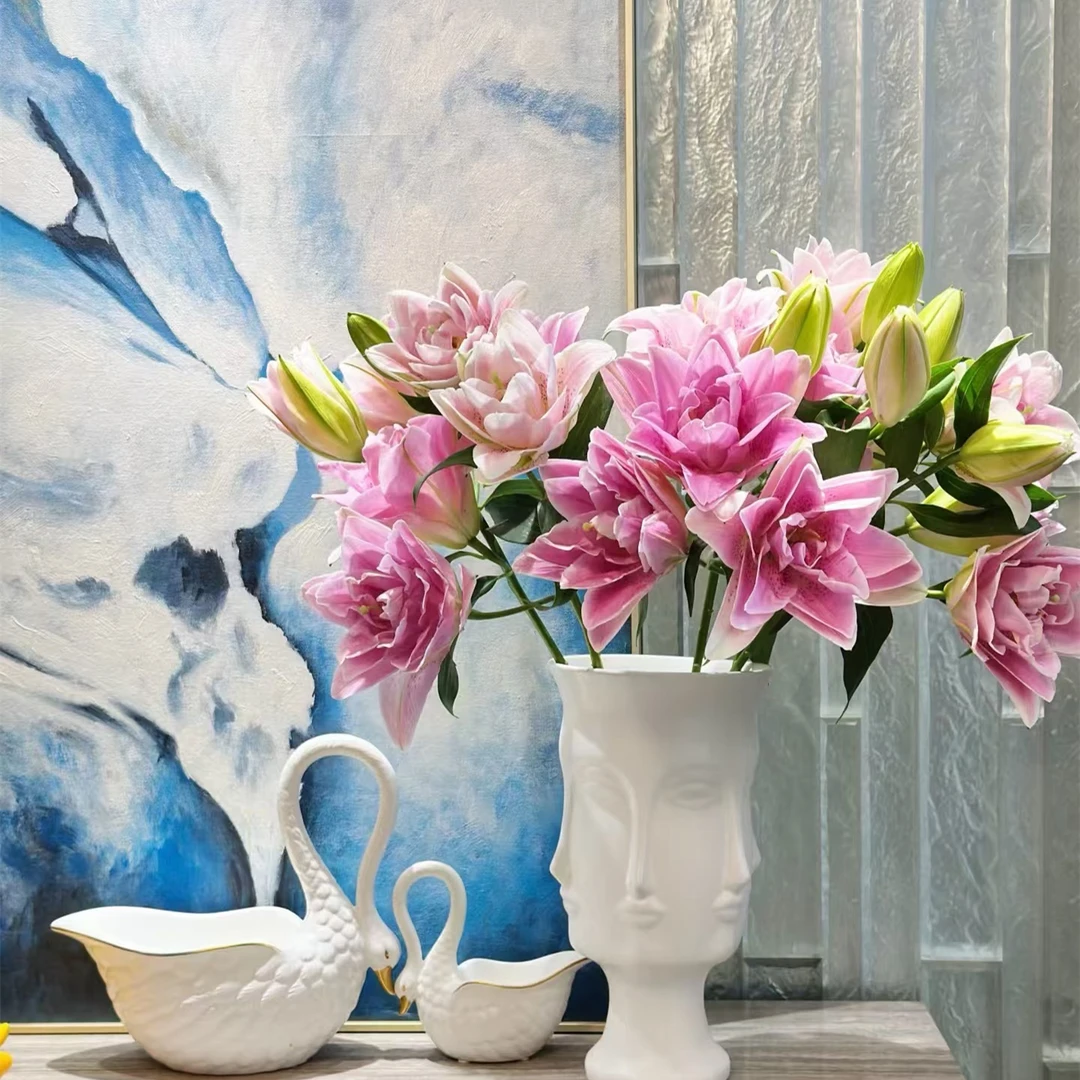 【西亚拉百合】0度及一下气温请拍保温棉【不拍冻坏不售后】