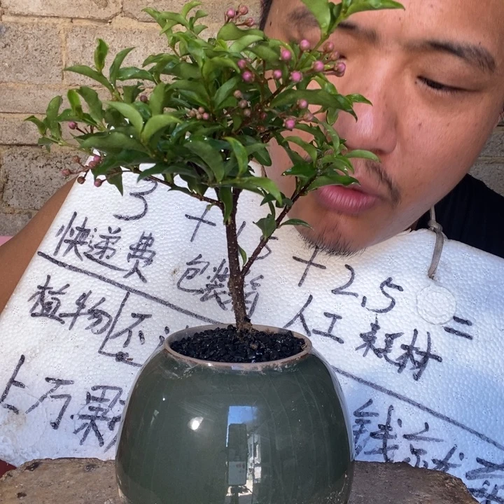 六***鱼退款拉黑一物一拍1